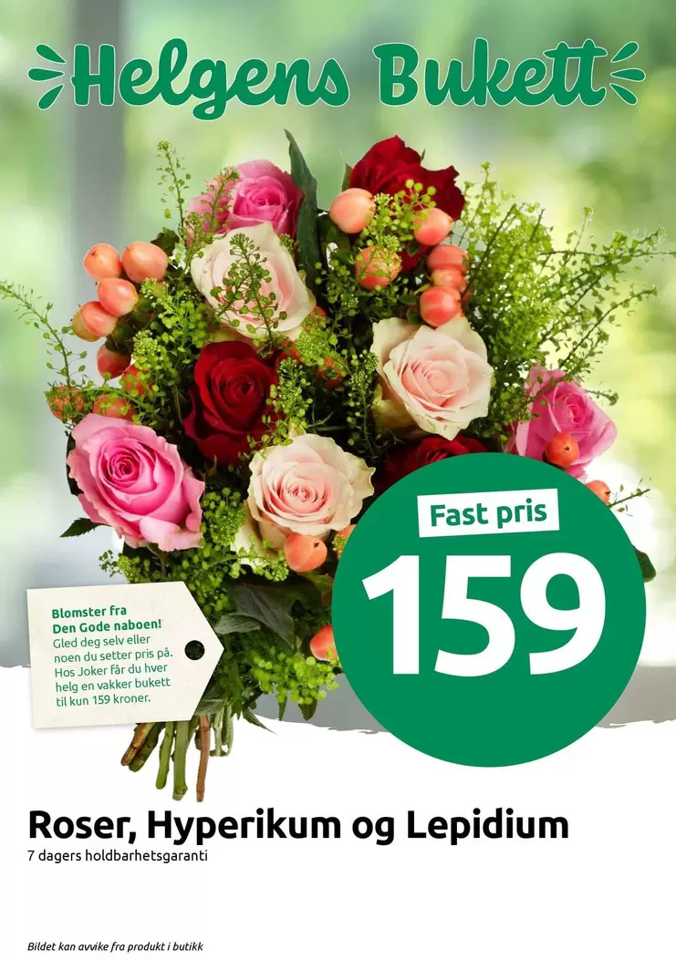 Fast - Roser, Hyperikum og Lepidium