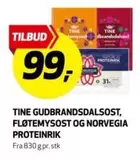GUDBRANDSDALSOST, FLØTEMYSOST OG NORVEGIA PROTEINRIK