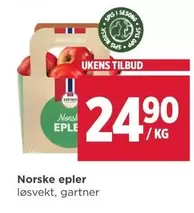 Norsk - E Epler
