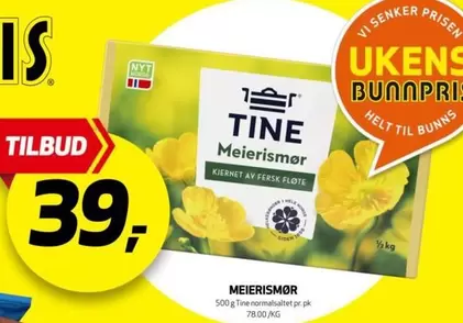 Meierismor