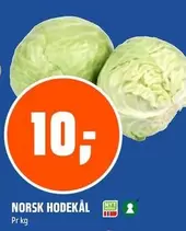 Norsk - NORSK HODEKÅL