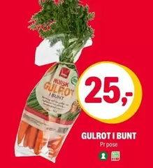 Norsk - GULROT I BUNT