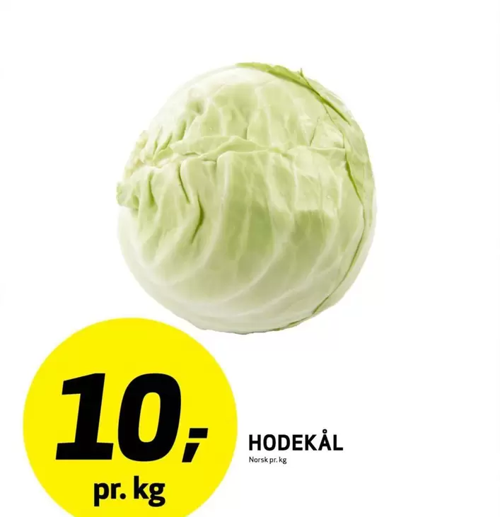 Norsk - HODEKÅL