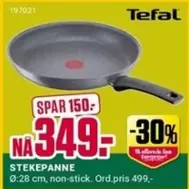 STEKEPANNE