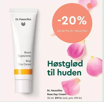 Rose -  Day Cream