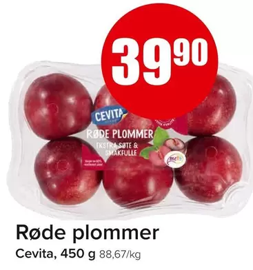 Røde plommer