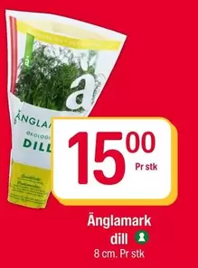 Dill