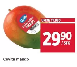 Mango