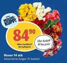 Roser -  14 stk