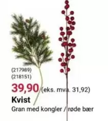 Gran - Kvist