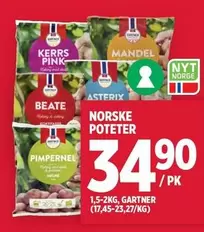 Pink - NORSKE POTETER