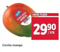 Mango