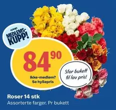 Roser -  14 stk