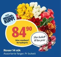 Roser -  14 stk