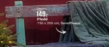 Pledd