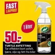 Turtle - AVFETTING