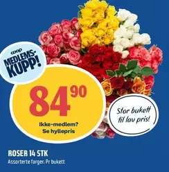 Roser - ROSER 14 STK