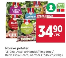Pink - Norske poteter