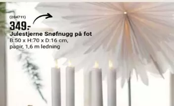 Julestjerne Snøfnugg på fot