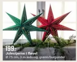 Julestjerne i fløyel