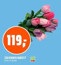 TULIPANER BUKETT