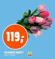 TULIPANER BUKETT