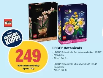 Botanicals Set sommerbukett 10347, Botanicals Miniatyrorkidé 10343