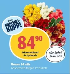 Roser -  14 stk