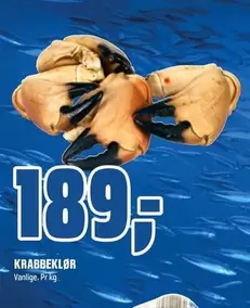 KRABBEKLØR