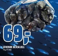 LEVENDE BLASKJELL