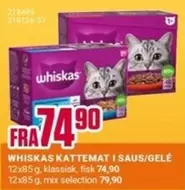 KATTEMAT I SAUS/GELÉ