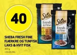 Un - FRESH FINE FJÆRKRE OG TUNFISK LAKS & HVIT FISK