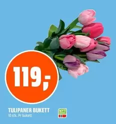 TULIPANER BUKETT