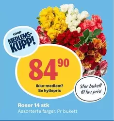 Roser -  14 stk
