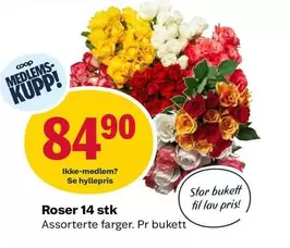 Roser -  14 stk