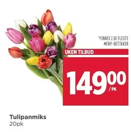 Tulipanmiks
