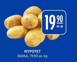 Bama - NYPOTET