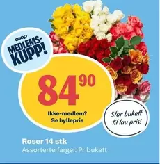 Roser -  14 stk