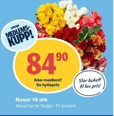 Roser -  14 stk