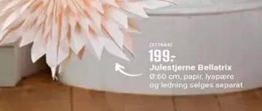 Julestjerne Bellatrix