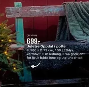 Juletre - Oppdal i potte