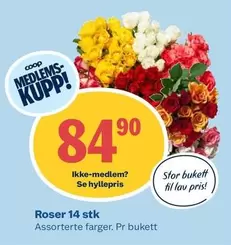 Roser -  14 stk