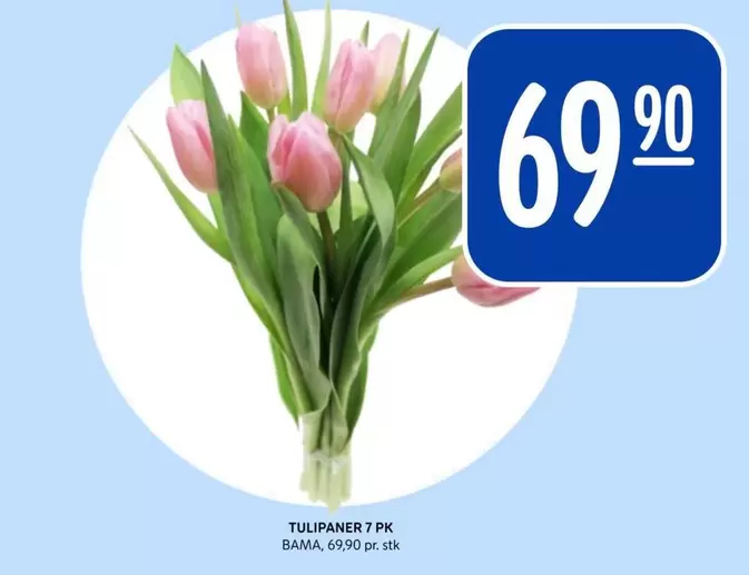 Bama - TULIPANER 7 PK