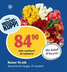 Roser -  14 stk
