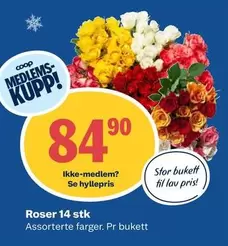 Roser -  14 stk