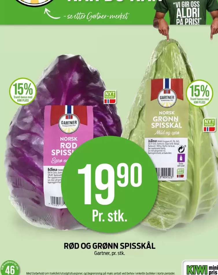 No - RØD OG GRØNN SPISSKÅL