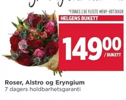 Roser - HELGENS BUKETT