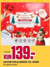 ADVENTSKALENDER TIL HUND