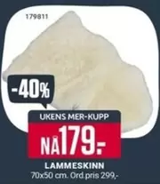 LAMMESKINN