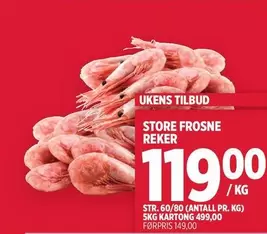 STORE FROSNE REKER
